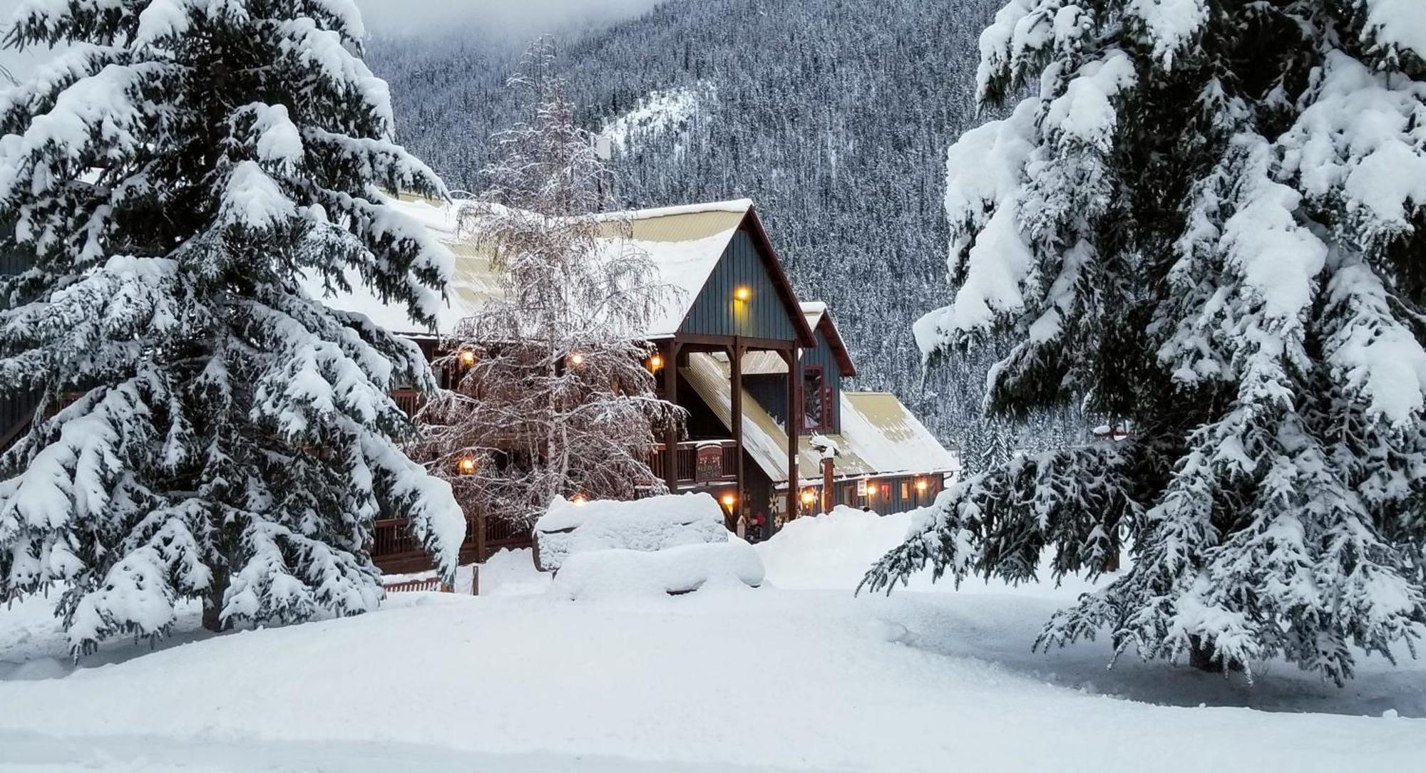 Truffle Pigs Lodge Field Exterior photo